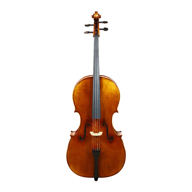 WILH. STEINBERG LSC800 大(dà)提琴 (套裝)
