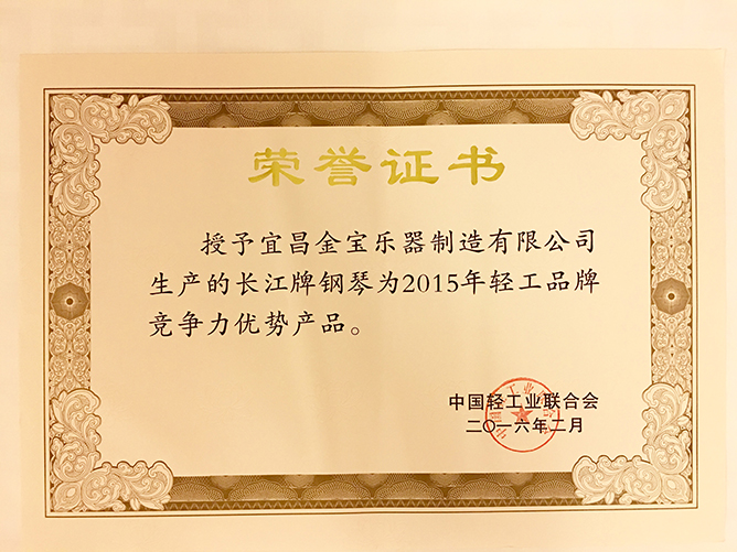 6 中國(guó)輕工品牌競争力優勢産品.jpg