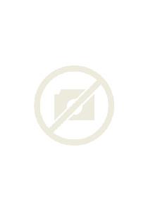 榮譽丨柏斯音樂再獲《鏡報》“傑出(chū)企業社會責任獎”